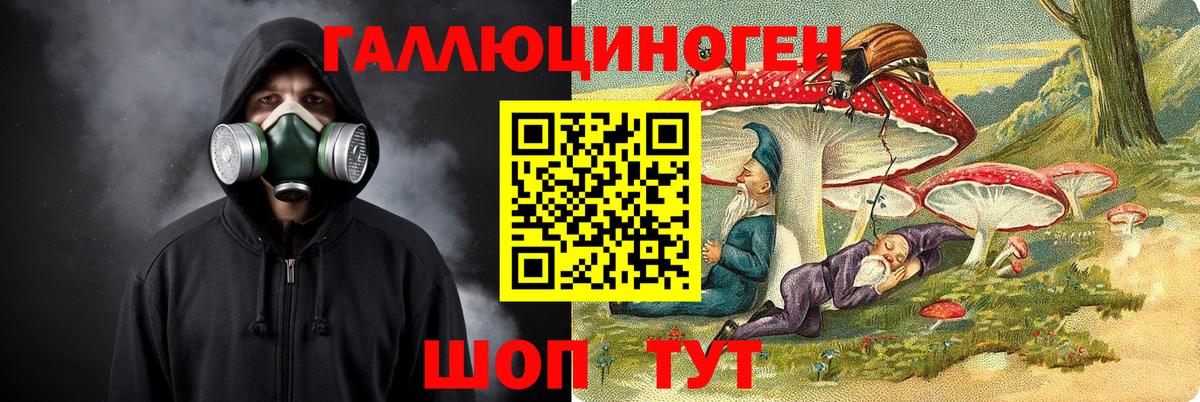 A PVP Сунжа